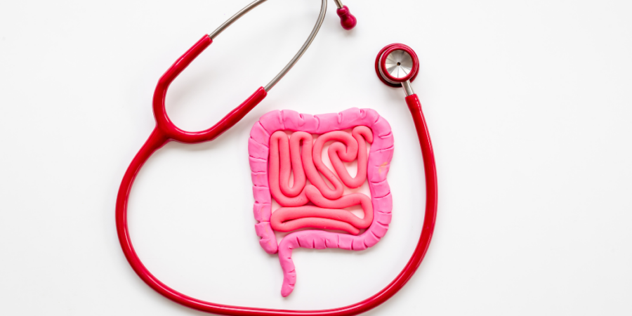A red stethoscope is arranged around a pink model of human intestines, both placed on a white background, symbolizing digestive health or gastrointestinal examination.
