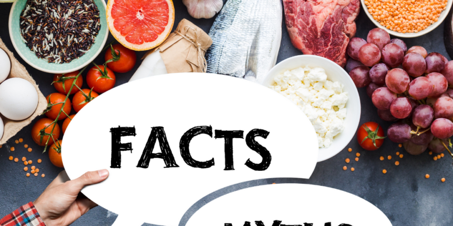 A variety of fresh foods, including fruits, vegetables, bread, meat, fish, eggs, and rice, are arranged on a table. Two hands hold speech bubbles that say "FACTS" and "MYTHS.
