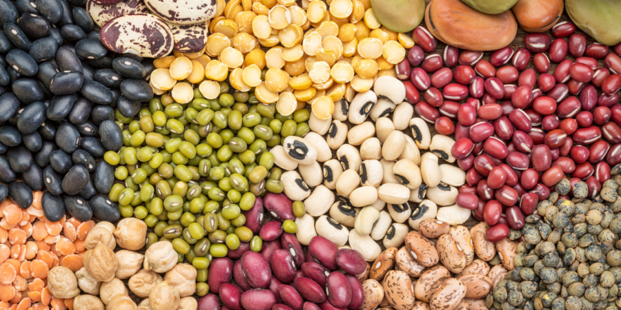 A colorful assortment of various dried beans and lentils arranged in sections, including black beans, chickpeas, green mung beans, red beans, split peas, lima beans, and speckled pinto beans.