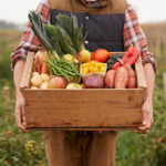 A person in a plaid shirt holds a large wooden crate filled with fresh vegetables and fruits, including leeks, potatoes, apples, green beans, tomatoes, sweet potatoes, onions, and peppers, standing outdoors in a field.