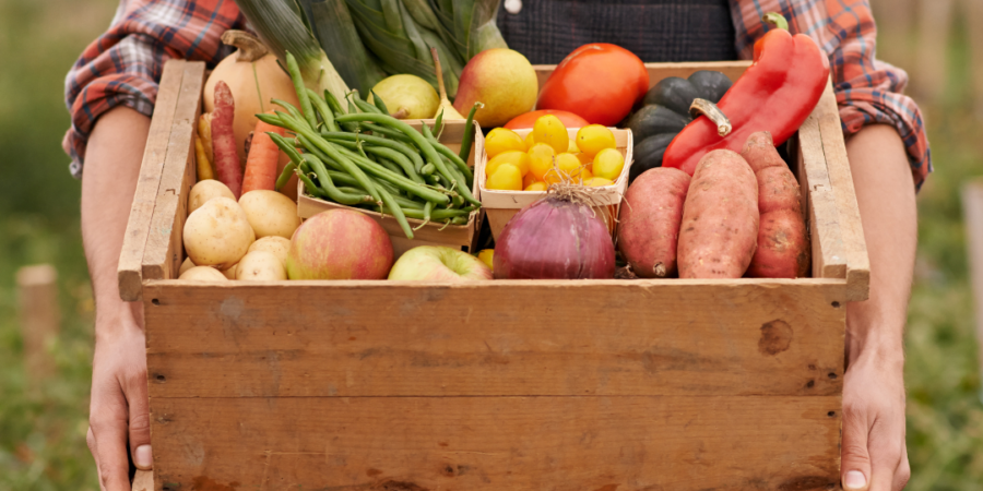 A person in a plaid shirt holds a large wooden crate filled with fresh vegetables and fruits, including leeks, potatoes, apples, green beans, tomatoes, sweet potatoes, onions, and peppers, standing outdoors in a field.