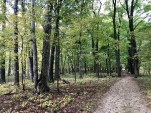 Hiking for Health & Happiness