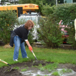 Three people use shovels to work on a garden bed near parked cars, a school bus, and a blue dumpster, with bushes in the background.