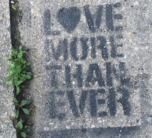 Black stencil graffiti on pavement reads "LOVE MORE THAN EVER," with a heart symbol replacing the letter "O" in "LOVE." Small green plants grow from cracks on the left.