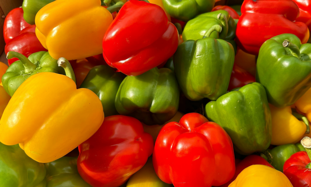 A close-up of a pile of fresh bell peppers in vibrant red, yellow, and green colors, showing their glossy surfaces and stems.
