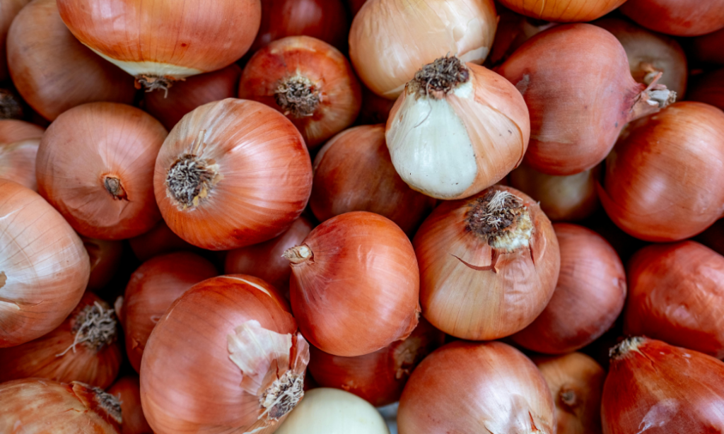 A close-up view of a pile of fresh onions, mostly with brownish-red papery skins and some with lighter, almost white skins, showing their round shape and roots.