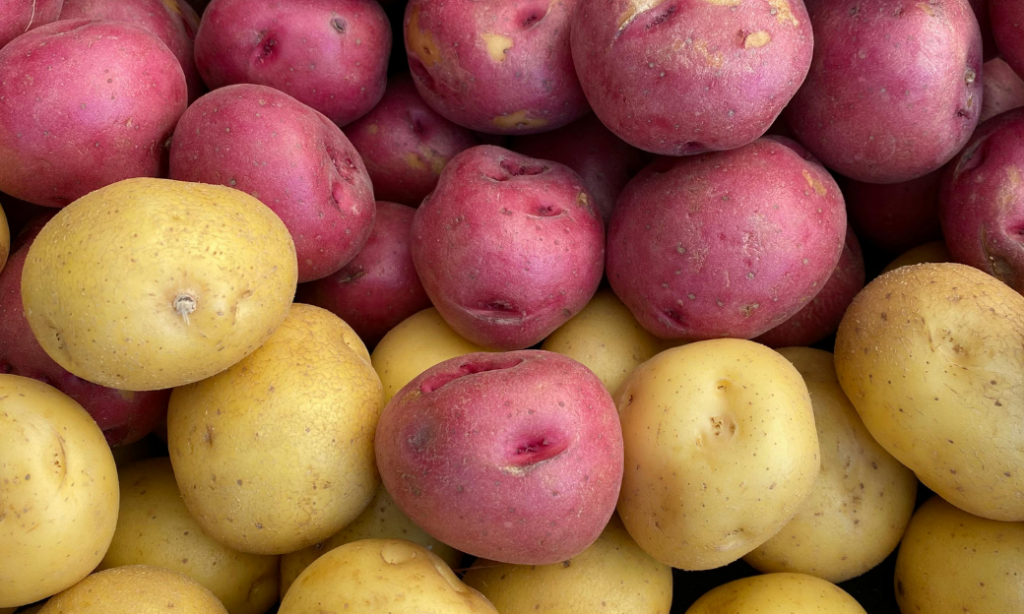 A close-up view of a pile of red and yellow potatoes stacked together, showing their textures and natural imperfections.