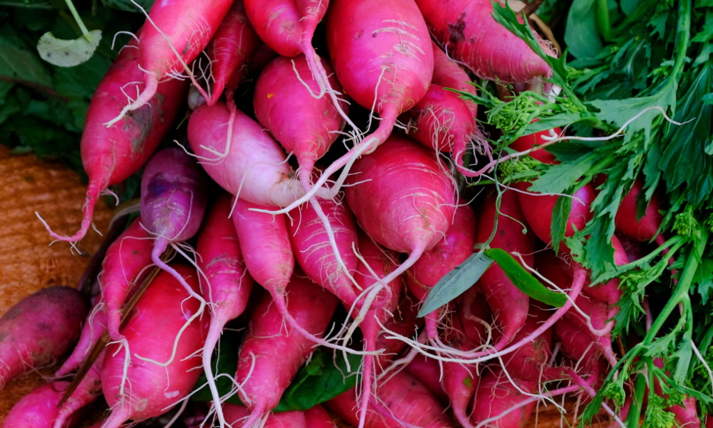 A close-up view of a pile of pink radishes with long roots and leafy green tops, stacked together on a wooden surface.