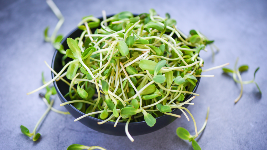 A black bowl filled with fresh green sunflower sprouts sits on a gray surface, with some loose sprouts scattered around the bowl.