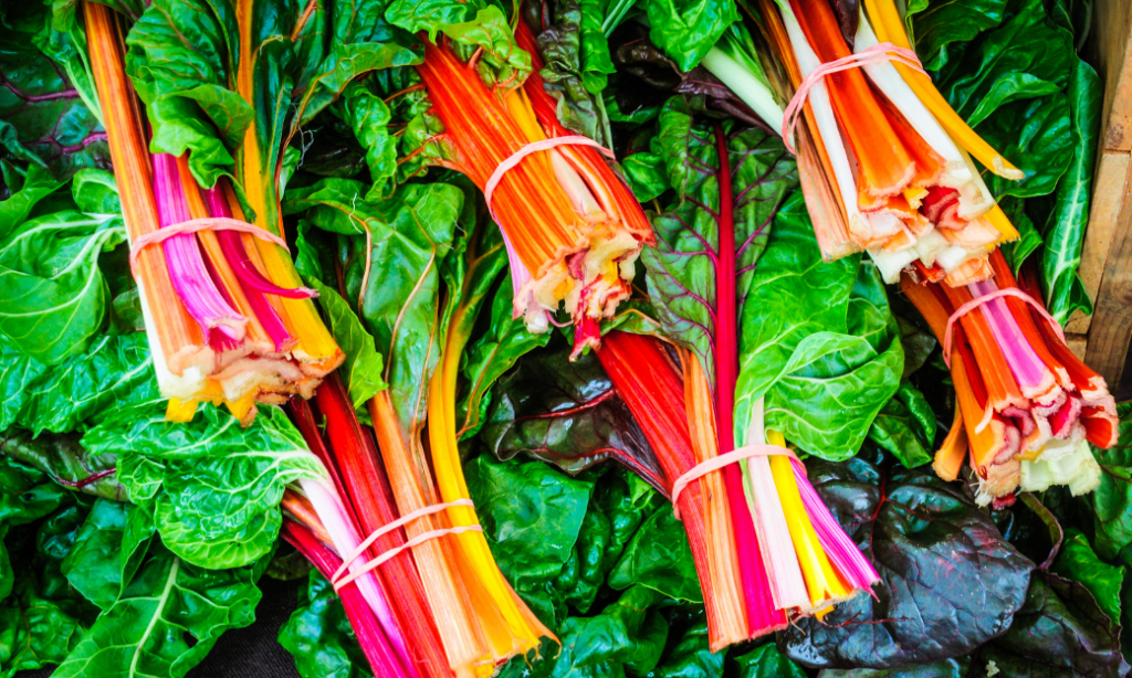 Bundles of colorful rainbow chard with vibrant stems in shades of red, yellow, orange, and pink, secured with rubber bands, and surrounded by large, leafy green tops.