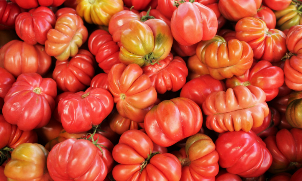 A pile of heirloom tomatoes with wrinkled, ribbed shapes in varying shades of red and orange.