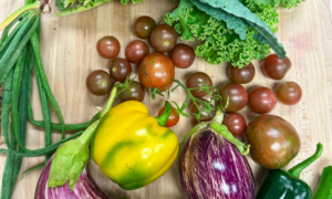 Food Safety Starts Here