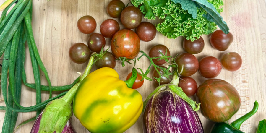 A variety of fresh vegetables on a wooden surface, including green onions, curly kale, cherry tomatoes, yellow bell pepper, striped eggplants, and a jalapeño pepper.